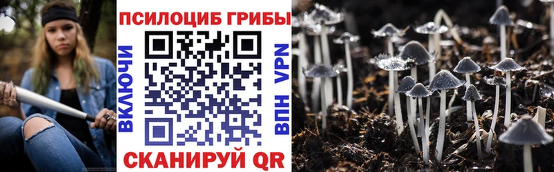blacksprut как зайти  Пестово  Галлюциногенные грибы прущие грибы  продажа наркотиков 